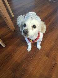 20181221_180817.jpg 20181221_180817.jpg