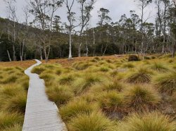 Screenshot_20181222-115806_Facebook.jpg Screenshot_20181222-115806_Facebook.jpg