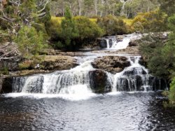 20181223_075528.jpg 20181223_075528.jpg