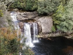 20181223_090718.jpg 20181223_090718.jpg