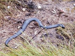 20181223_082019.jpg 20181223_082019.jpg