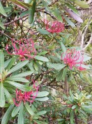 20181223_091024.jpg 20181223_091024.jpg