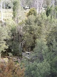 20181223_090054.jpg 20181223_090054.jpg