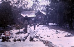 1-22-2011_021.JPG 1-22-2011_021.JPG