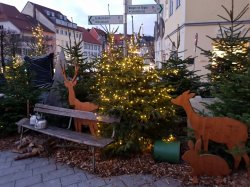 2018-12-20 16.49.49.jpg 2018-12-20 16.49.49.jpg