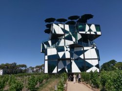 IMAG5829.jpg IMAG5829.jpg