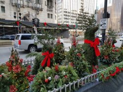 2018-12-24 14.53.08.jpg 2018-12-24 14.53.08.jpg