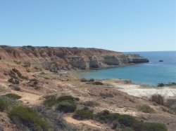 IMAG5830.jpg IMAG5830.jpg