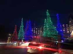 38B8F3CA-666F-4595-A234-D05EDF5E7532.jpeg 38B8F3CA-666F-4595-A234-D05EDF5E7532.jpeg