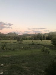 380D468E-A914-4565-B0DC-210B7C03D5D2.jpeg 380D468E-A914-4565-B0DC-210B7C03D5D2.jpeg