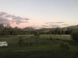 D4023EDC-8ECB-497D-A326-CE86C4C8578E.jpeg D4023EDC-8ECB-497D-A326-CE86C4C8578E.jpeg