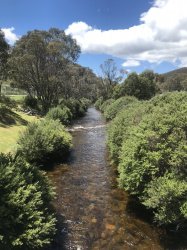 C1DC3CD4-E29B-4AB3-ADA3-FFC48DC0DB7D.jpeg C1DC3CD4-E29B-4AB3-ADA3-FFC48DC0DB7D.jpeg