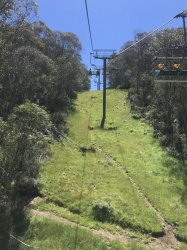 A4F66951-ABB6-46EC-805C-F12340635E64.jpeg A4F66951-ABB6-46EC-805C-F12340635E64.jpeg