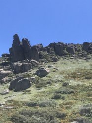 ABAF7F0F-26EE-473A-AB5A-4422A1E8D0B0.jpeg ABAF7F0F-26EE-473A-AB5A-4422A1E8D0B0.jpeg