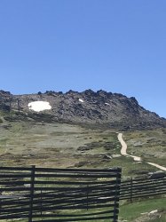 B3FA651E-6F30-40A6-87FF-8D8BB351A853.jpeg B3FA651E-6F30-40A6-87FF-8D8BB351A853.jpeg