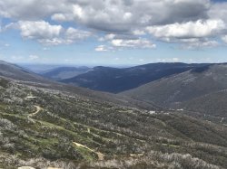 0B317DC8-94A5-4774-B1F9-1675273FC63D.jpeg 0B317DC8-94A5-4774-B1F9-1675273FC63D.jpeg