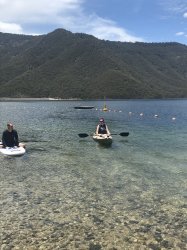 BA7507B9-6861-4D42-89D2-42B71F169CAE.jpeg BA7507B9-6861-4D42-89D2-42B71F169CAE.jpeg