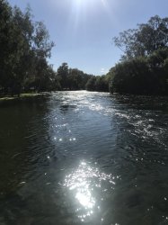 0F954B14-F272-4A92-B24A-3F822976576F.jpeg 0F954B14-F272-4A92-B24A-3F822976576F.jpeg