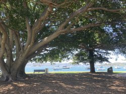 B10DC919-6B8B-4095-9FCE-FA2B81818622.jpeg B10DC919-6B8B-4095-9FCE-FA2B81818622.jpeg