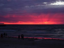 DSC04316.JPG DSC04316.JPG