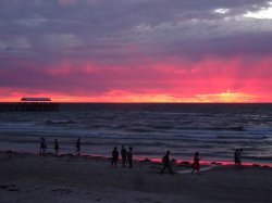 DSC04317.JPG DSC04317.JPG