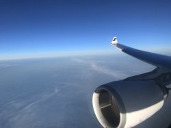 2CD24BCE-1F5B-47C8-BB67-EDB936EF4C1B.jpeg 2CD24BCE-1F5B-47C8-BB67-EDB936EF4C1B.jpeg