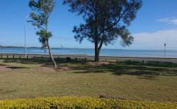 IMG_20181225_221554_894.jpg IMG_20181225_221554_894.jpg