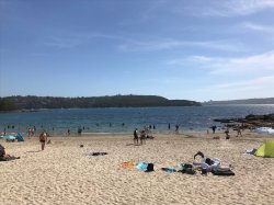 EE88FAE8-AF50-458D-8046-14749CE62A75.jpeg EE88FAE8-AF50-458D-8046-14749CE62A75.jpeg