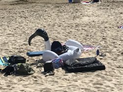 FA9BE4A6-3016-44A1-B1E1-A1DA6D9659EB.jpeg FA9BE4A6-3016-44A1-B1E1-A1DA6D9659EB.jpeg