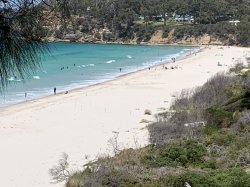 3AC6508F-D3AE-47E4-809B-13F3008C9D58.jpeg 3AC6508F-D3AE-47E4-809B-13F3008C9D58.jpeg