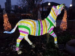 2018-12-27 16.20.58.jpg 2018-12-27 16.20.58.jpg