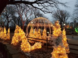 2018-12-27 16.21.59.jpg 2018-12-27 16.21.59.jpg