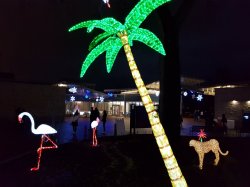 2018-12-27 16.57.14.jpg 2018-12-27 16.57.14.jpg