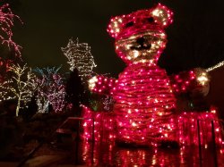 2018-12-27 17.19.38.jpg 2018-12-27 17.19.38.jpg