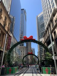 4203E59C-0262-4892-BA73-8B69C352E94B.jpeg 4203E59C-0262-4892-BA73-8B69C352E94B.jpeg