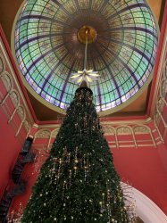 78EB4175-3CCF-4EC8-9D4F-1B4D640F1AD1.jpeg 78EB4175-3CCF-4EC8-9D4F-1B4D640F1AD1.jpeg