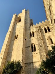 9C9B3F23-D83E-4086-982F-624509A42477.jpeg 9C9B3F23-D83E-4086-982F-624509A42477.jpeg