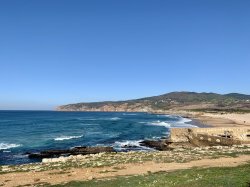 DB4478B0-4823-4060-87E7-090910130766.jpeg DB4478B0-4823-4060-87E7-090910130766.jpeg