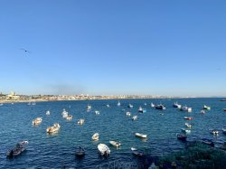 5B454F53-DF02-422F-97C3-4FFB31F36273.jpeg 5B454F53-DF02-422F-97C3-4FFB31F36273.jpeg