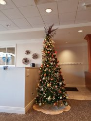 2018-12-30 08.49.20.jpg 2018-12-30 08.49.20.jpg