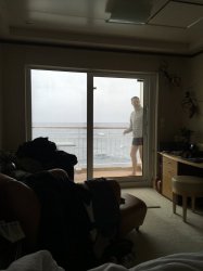 EF64772D-BBE6-409F-87C6-D1487B94F42E.jpeg EF64772D-BBE6-409F-87C6-D1487B94F42E.jpeg