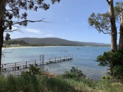 7E6F4DD4-A981-4082-8504-32505B1A6A88.jpeg 7E6F4DD4-A981-4082-8504-32505B1A6A88.jpeg