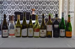 DSC_8160.JPG DSC_8160.JPG