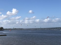 A745EE0F-2652-4957-9436-005659BD95CA.jpeg A745EE0F-2652-4957-9436-005659BD95CA.jpeg