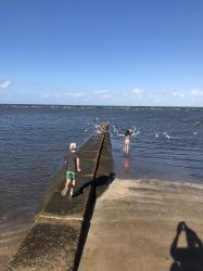 AE0B3AFF-B32B-4F5A-854F-6ADA9BCF6B48.jpeg AE0B3AFF-B32B-4F5A-854F-6ADA9BCF6B48.jpeg