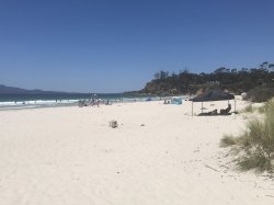 02AF7A18-B478-4E09-BB29-3D0E84FEE32F.jpeg 02AF7A18-B478-4E09-BB29-3D0E84FEE32F.jpeg