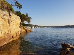 49647037_10155593737301627_8062319295868174336_n.jpg 49647037_10155593737301627_8062319295868174336_n.jpg