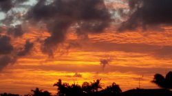 thumbnail (2).jpg thumbnail (2).jpg