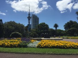 87D3B9F4-EA7D-47D4-B228-D9B91636736F.jpeg 87D3B9F4-EA7D-47D4-B228-D9B91636736F.jpeg