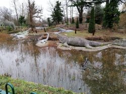 IMG_20190107_102049.jpg IMG_20190107_102049.jpg